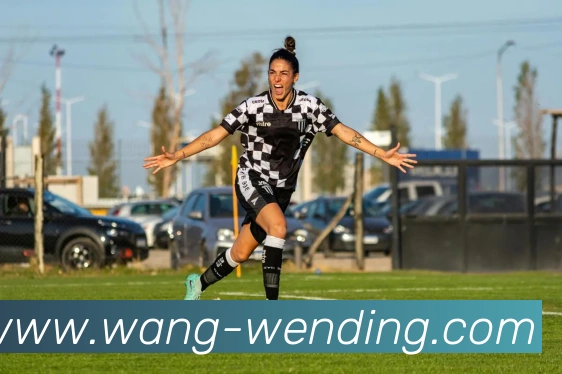 问鼎平台生态图