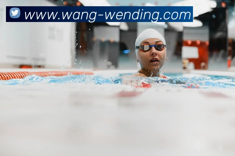 多媒体互动体验